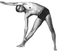 Asana Triangulo